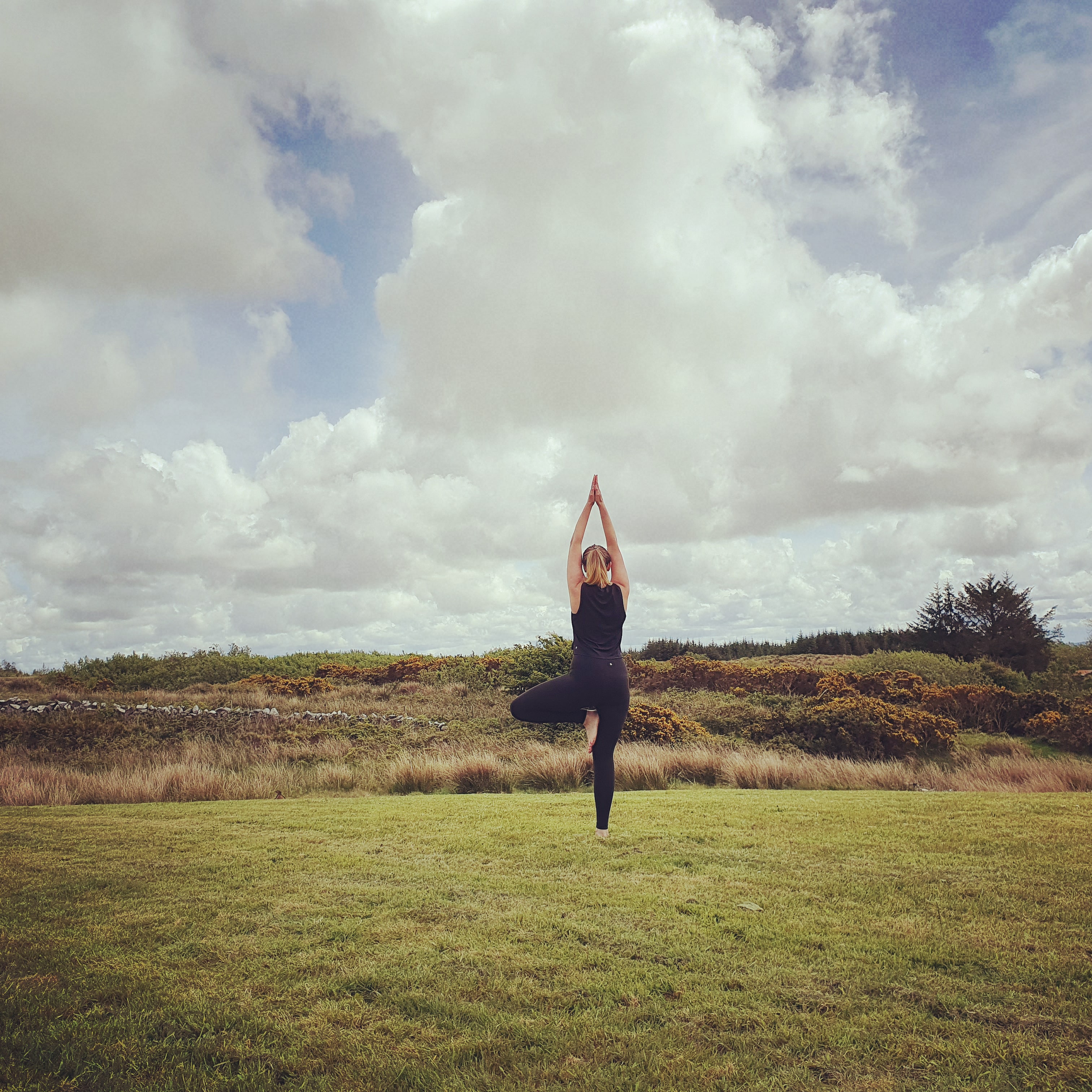 IMG_20210529_121709_714